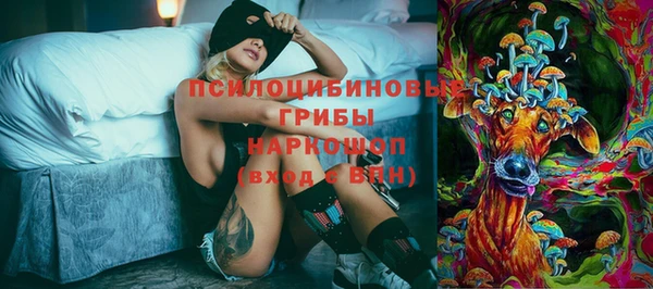 мдпв Пересвет