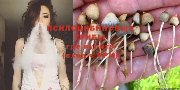 гидра Вязники