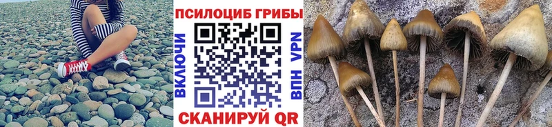 Галлюциногенные грибы мицелий  цена наркотик  Сальск 